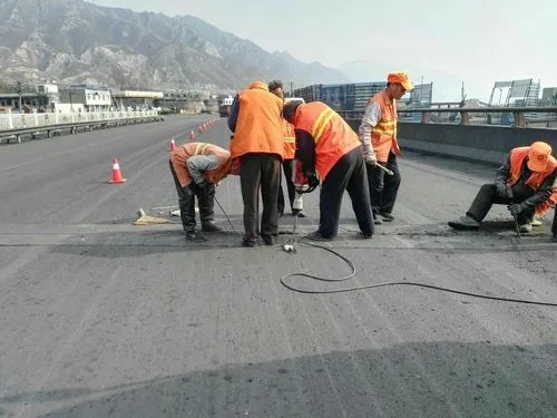 凤凰镇道路桥梁病害治理